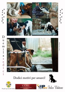 Scopri di più sull'articolo Diario di un cane randagio + calendario 2016